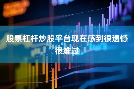 股票杠杆炒股平台现在感到很遗憾很难过