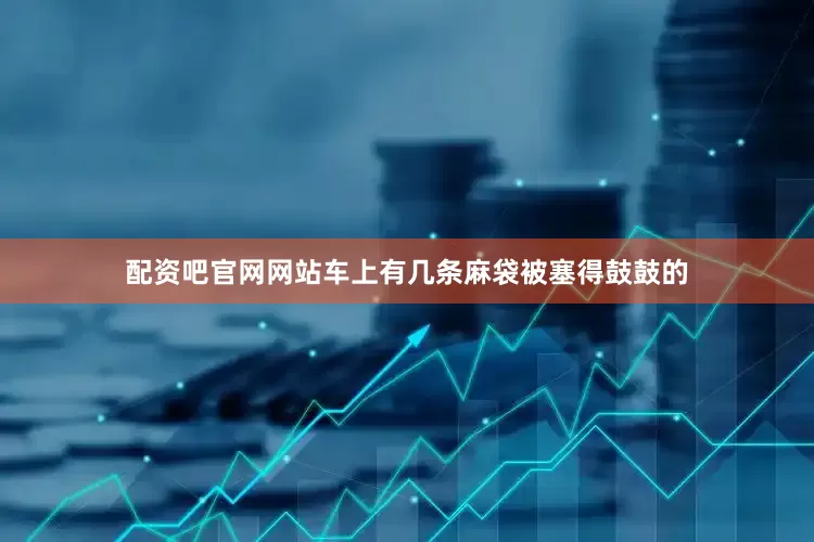 配资吧官网网站车上有几条麻袋被塞得鼓鼓的