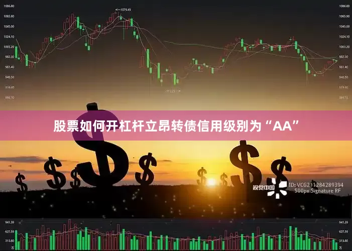 股票如何开杠杆立昂转债信用级别为“AA”