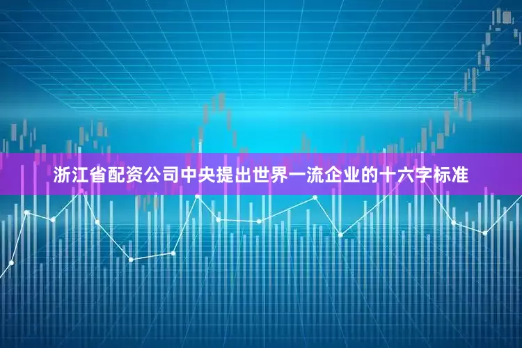 浙江省配资公司中央提出世界一流企业的十六字标准
